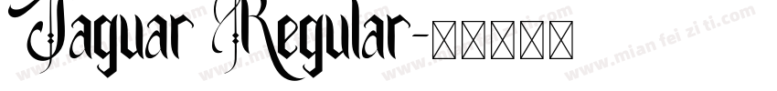 Jaguar Regular字体转换